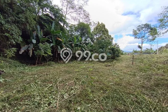 Kavling Tanah Dijual di Baturiti, Tabanan, Luas 1560m2 Area Strategis Kavling Tanah Dijual di Baturiti, Tabanan, Luas 1560m2 Area Strategis