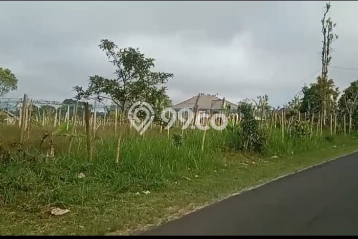 Kavling Tanah untuk Disewa di Bangli Lahan Luas 4500m2 Kavling Tanah untuk Disewa di Bangli Lahan Luas 4500m2