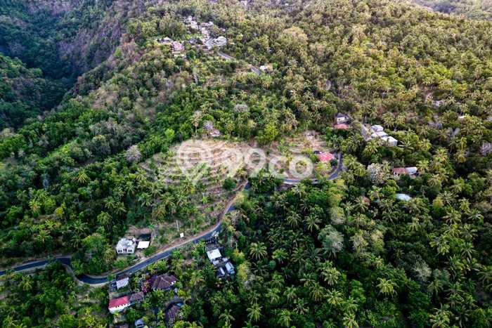 Tanah Dijual Lokasi Madenan, Buleleng dengan Luas Tanah 10000m2 dan Status SHM Tanah Dijual Lokasi Madenan, Buleleng dengan Luas Tanah 10000m2 dan Status SHM