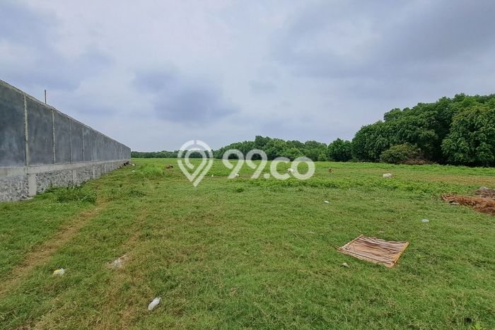 Dijual Tanah Lokasi Kapuk Muara, Jakarta Utara Seluas 100000m2 Dijual Tanah Lokasi Kapuk Muara, Jakarta Utara Seluas 100000m2