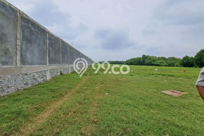 Dijual Tanah Lokasi Kapuk Muara, Jakarta Utara Seluas 100000m2 Dijual Tanah Lokasi Kapuk Muara, Jakarta Utara Seluas 100000m2