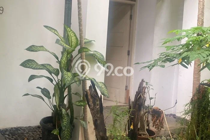 Sewa Rumah Murah di Bintaro Jakarta Selatan dengan 3 KT Sewa Rumah Murah di Bintaro Jakarta Selatan dengan 3 KT