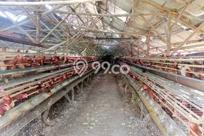 Kavling Tanah di Mauk Dijual Luas 32000m2 Legalitas SHM Kavling Tanah di Mauk Dijual Luas 32000m2 Legalitas SHM