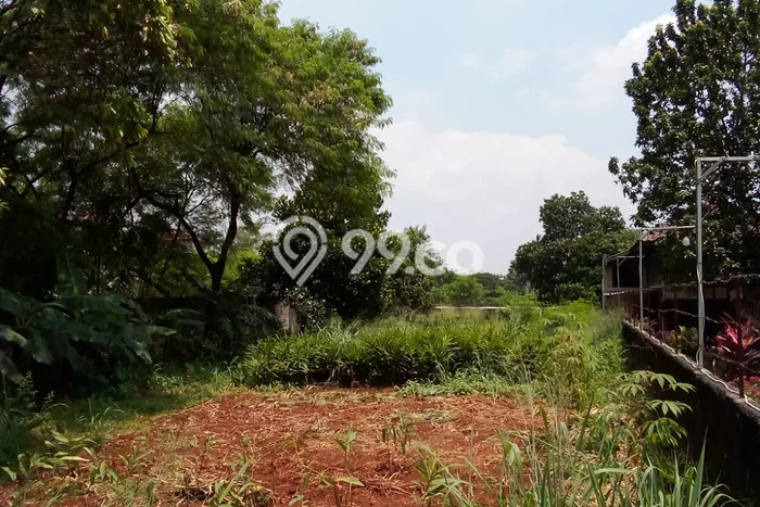 Lahan Dijual Lokasi Strategis di Bogor dengan Luas 1065m2 Lahan Dijual Lokasi Strategis di Bogor dengan Luas 1065m2