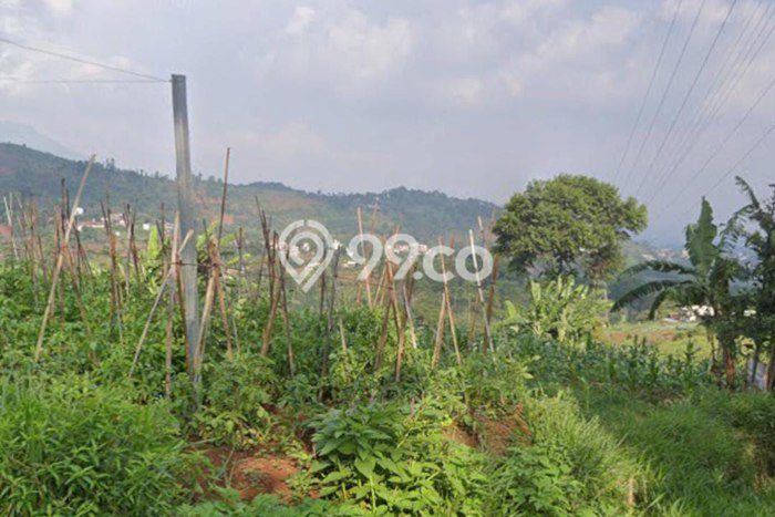 Tanah Investasi Dijual di Bandung Punya Luas 500m2 Tanah Investasi Dijual di Bandung Punya Luas 500m2