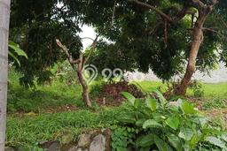 Untuk Dijual Tanah 117m2 di Jati Asih, Bekasi Untuk Dijual Tanah 117m2 di Jati Asih, Bekasi