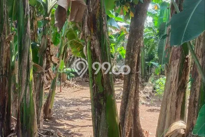 Kavling Tanah untuk Dijual di Jati Asih, Bekasi, Luas 637m2 Kavling Tanah untuk Dijual di Jati Asih, Bekasi, Luas 637m2