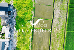 Tanah Dijual di Tabanan Seluas 1600m2 Strategis Tanah Dijual di Tabanan Seluas 1600m2 Strategis