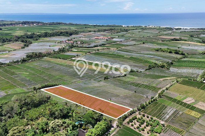 Kavling Tanah Dijual di Tabanan, Tabanan, Luas 4100m2 Area Strategis Kavling Tanah Dijual di Tabanan, Tabanan, Luas 4100m2 Area Strategis