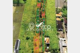 Tanah Strategis Disewakan di Ubud Gianyar Seluas 120m2 Tanah Strategis Disewakan di Ubud Gianyar Seluas 120m2
