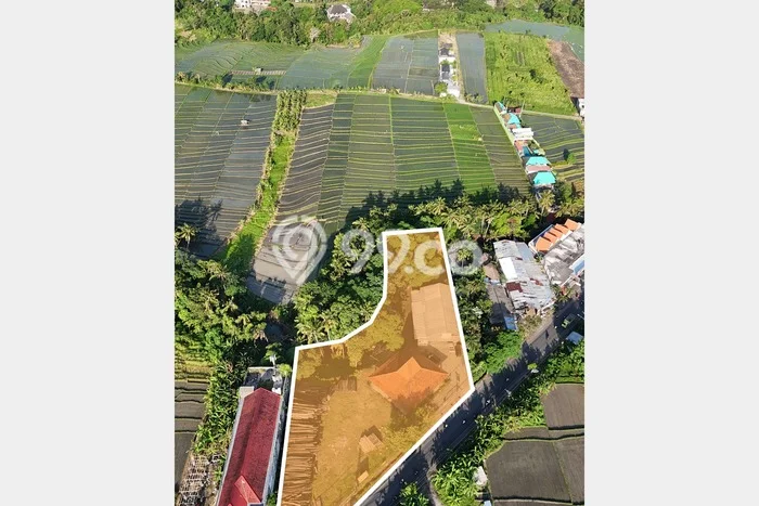 Dijual Tanah di Tabanan, Luas 3875m2 SHM Dijual Tanah di Tabanan, Luas 3875m2 SHM