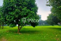 Kavling Tanah di Karawaci Dijual Luas 1236m2 Legalitas - Kavling Tanah di Karawaci Dijual Luas 1236m2 Legalitas -