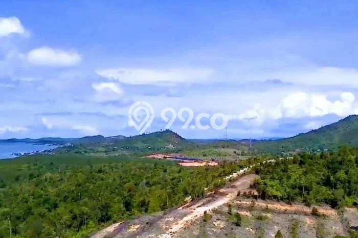 Kavling Tanah di Galang Dijual Luas 268000m2 Legalitas - Kavling Tanah di Galang Dijual Luas 268000m2 Legalitas -