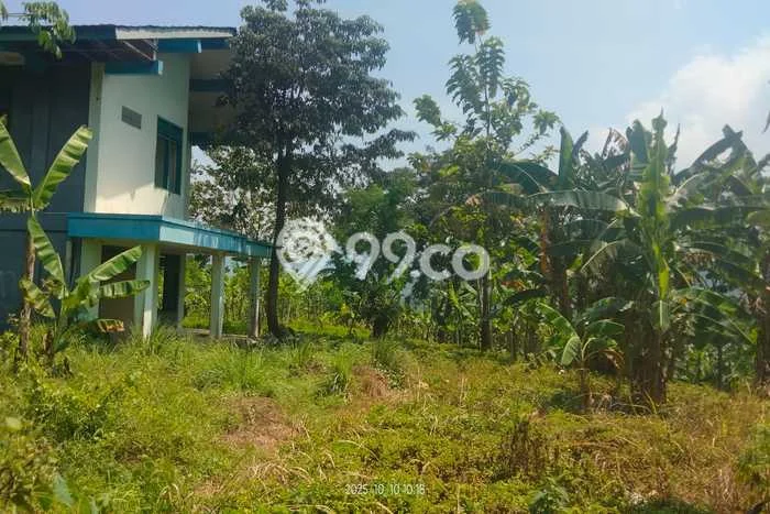 Tanah di Bogor Timur, Luas 50000m², Dekat Jalan Raya Tanah di Bogor Timur, Luas 50000m², Dekat Jalan Raya