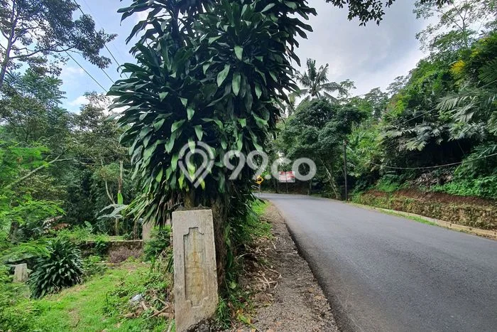 Untuk Dijual Tanah di Wanayasa Purwakarta Luas 1605m2 SHM Untuk Dijual Tanah di Wanayasa Purwakarta Luas 1605m2 SHM