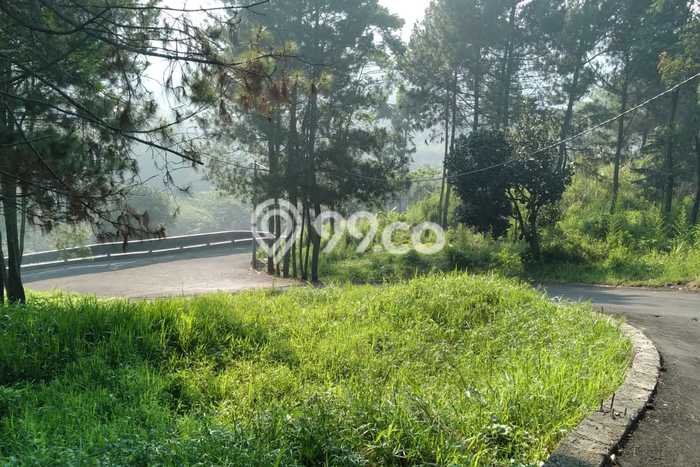 Kavling Tanah di Lembang Dijual Luas 1575m2 Legalitas SHM Kavling Tanah di Lembang Dijual Luas 1575m2 Legalitas SHM