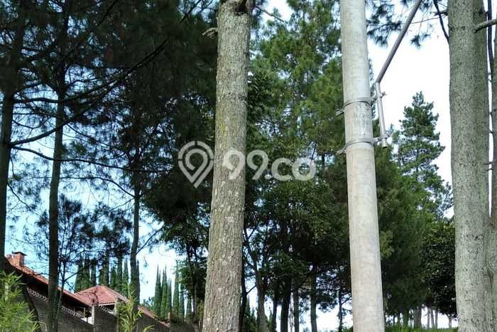Kavling Tanah di Lembang Dijual Luas 1575m2 Legalitas SHM Kavling Tanah di Lembang Dijual Luas 1575m2 Legalitas SHM