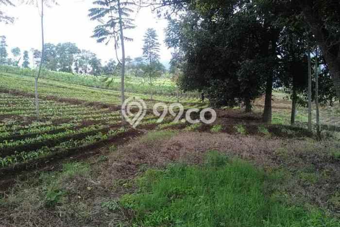 Lahan Kosong Dijual di Bandung dengan Area 14743m2 Lahan Kosong Dijual di Bandung dengan Area 14743m2