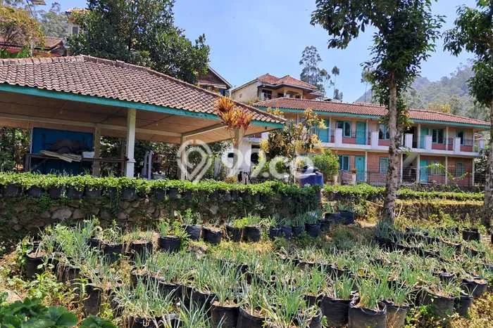 FOR SALE! Vila di Ciwidey, Luas 5167m2m², Dekat Mudah Pusat Kota FOR SALE! Vila di Ciwidey, Luas 5167m2m², Dekat Mudah Pusat Kota