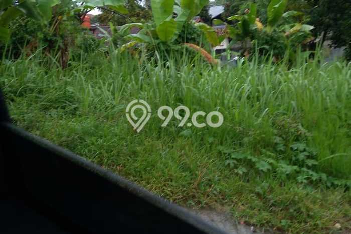 Tanah Dijual Lokasi Teluk Betung Selatan Bandar Lampung - Tanah Dijual Lokasi Teluk Betung Selatan Bandar Lampung -