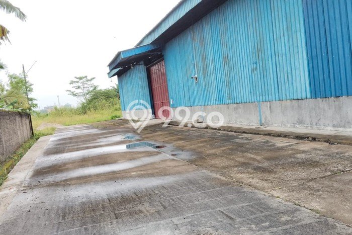 Tersedia Gudang Bisnis di Ciruas Serang Harga Sewa Menarik Bisa Nego Tersedia Gudang Bisnis di Ciruas Serang Harga Sewa Menarik Bisa Nego