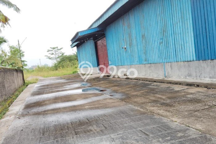 Tersedia Gudang Bisnis di Ciruas Serang Harga Sewa Menarik Bisa Nego Tersedia Gudang Bisnis di Ciruas Serang Harga Sewa Menarik Bisa Nego