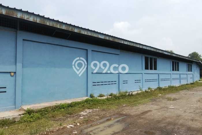 LOKASI STRATEGIS! Gudang Disewakan Kawasan Rangkasbitung, Luas 1480m², Area Ramai LOKASI STRATEGIS! Gudang Disewakan Kawasan Rangkasbitung, Luas 1480m², Area Ramai