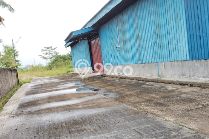 Tersedia Gudang Bisnis di Ciruas Serang Harga Sewa Menarik Bisa Nego Tersedia Gudang Bisnis di Ciruas Serang Harga Sewa Menarik Bisa Nego