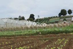 Untuk Dijual Tanah di Cisarua Bandung Barat Luas 11145m2 SHM Untuk Dijual Tanah di Cisarua Bandung Barat Luas 11145m2 SHM