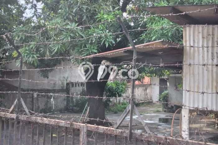Kavling Tanah Dijual di Kebayoran Lama Jakarta Selatan Spesifikasi 2100m2 Kavling Tanah Dijual di Kebayoran Lama Jakarta Selatan Spesifikasi 2100m2