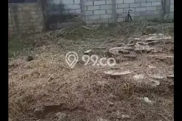 Tanah di Cilandak, Jakarta Selatan Luas 250m2 Dijual Segera Tanah di Cilandak, Jakarta Selatan Luas 250m2 Dijual Segera