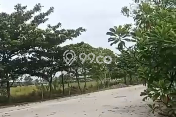 LOKASI PREMIUM! Tanah di Jawilan, Luas 100000m², Pinggir Jalan Raya LOKASI PREMIUM! Tanah di Jawilan, Luas 100000m², Pinggir Jalan Raya
