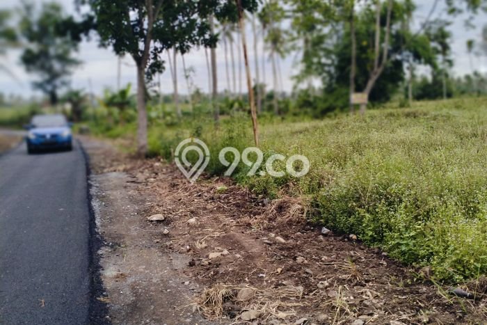 Lahan untuk Dijual Lokasi Kalianda, Lampung Selatan Luas 60000m2 SHM Lahan untuk Dijual Lokasi Kalianda, Lampung Selatan Luas 60000m2 SHM