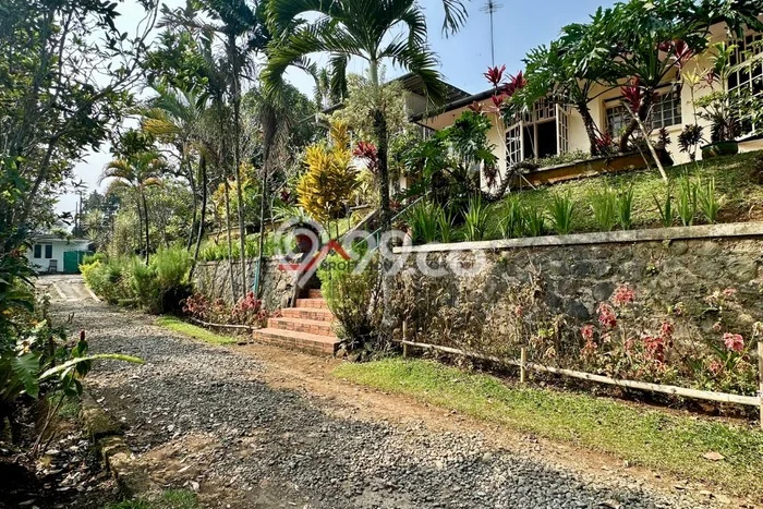 Dijual Rumah Luas Megah Dengan View Eksklusif di Puncak, Bogor Dijual Rumah Luas Megah Dengan View Eksklusif di Puncak, Bogor