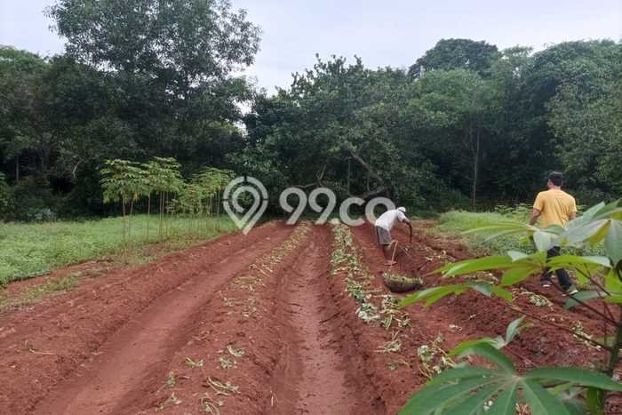 Dijual Tanah Lokasi Bekasi, Bekasi Seluas 5321m2 Dijual Tanah Lokasi Bekasi, Bekasi Seluas 5321m2