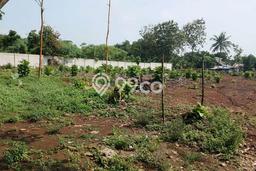 Untuk Dijual Tanah di Cisauk Tangerang Luas 5160m2 SHM Untuk Dijual Tanah di Cisauk Tangerang Luas 5160m2 SHM