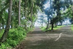 Lahan Dijual Lokasi Tejakula, Buleleng dengan Luas Tanah 13000m2 dan Status SHM Lahan Dijual Lokasi Tejakula, Buleleng dengan Luas Tanah 13000m2 dan Status SHM