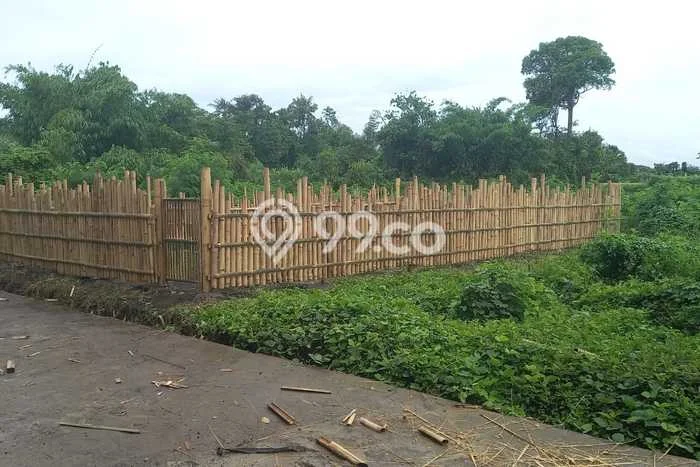 Tanah Dijual Area Strategis di Keramas Gianyar 100m2 Tanah Dijual Area Strategis di Keramas Gianyar 100m2