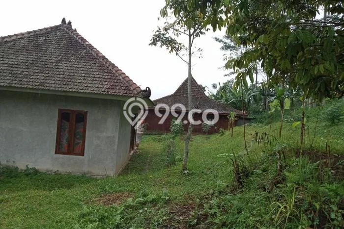 Tanah Dijual Lokasi Baturiti, Tabanan Luas 3125m2 Legalitas Aman Tanah Dijual Lokasi Baturiti, Tabanan Luas 3125m2 Legalitas Aman