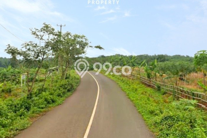 Tanah Strategis Dijual di Maja Lebak 20000m2 Tanah Strategis Dijual di Maja Lebak 20000m2