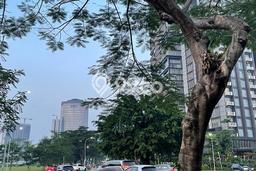 Sewa Tanah Tanah Kawasan , Luas 4120m2m², Akses Bagus Sewa Tanah Tanah Kawasan , Luas 4120m2m², Akses Bagus