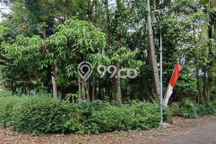 Tanah untuk Dijual Lokasi Sedayu, Bantul Luas 1833m2 SHM Tanah untuk Dijual Lokasi Sedayu, Bantul Luas 1833m2 SHM