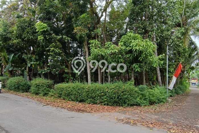 Tanah untuk Dijual Lokasi Sedayu, Bantul Luas 1833m2 SHM Tanah untuk Dijual Lokasi Sedayu, Bantul Luas 1833m2 SHM