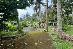 Jarang Ada! Tanah di Kerambitan Punya Luas 1250m2 SHM Jarang Ada! Tanah di Kerambitan Punya Luas 1250m2 SHM