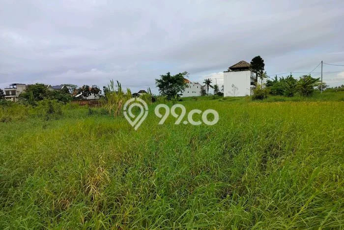 Lahan Disewakan Lokasi Belalang Tabanan Luas 300m2 Lahan Disewakan Lokasi Belalang Tabanan Luas 300m2