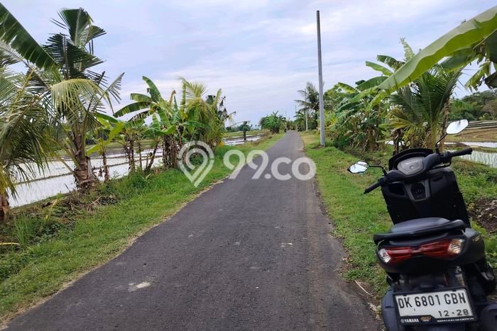 Dijual Tanah 3350m2 di Tangguntiti, Tabanan Dijual Tanah 3350m2 di Tangguntiti, Tabanan
