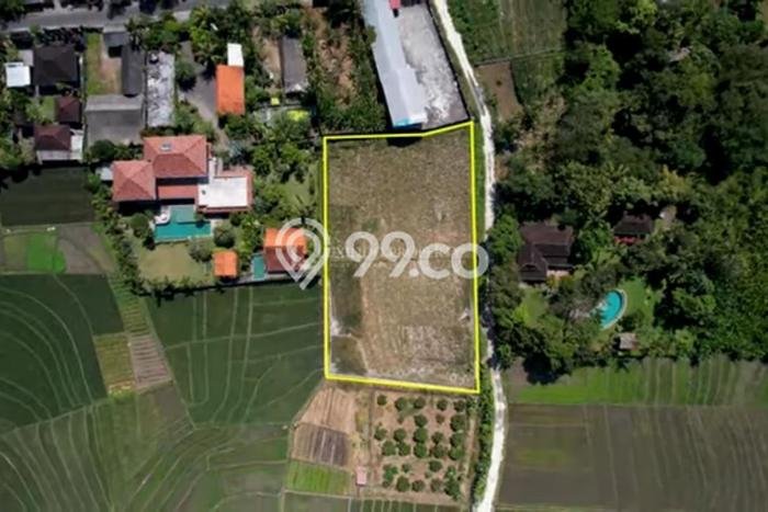 Tanah Kavling Dijual di Tabanan dengan Spesifikasi 2600m2 Tanah Kavling Dijual di Tabanan dengan Spesifikasi 2600m2
