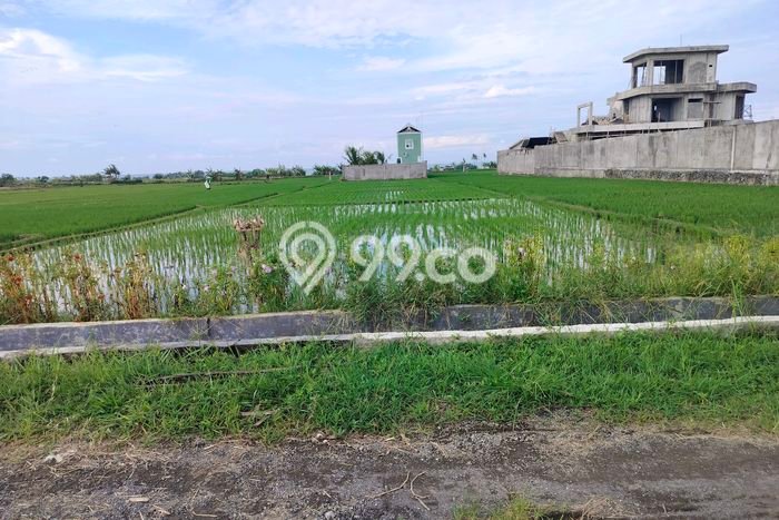 Dijual Tanah 1470m2 di Tibubiyu, Tabanan Dijual Tanah 1470m2 di Tibubiyu, Tabanan