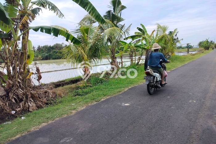 Dijual Tanah 3350m2 di Tangguntiti, Tabanan Dijual Tanah 3350m2 di Tangguntiti, Tabanan