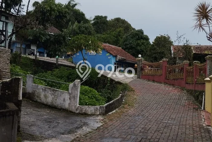 Jarang Ada! Tanah di Cisarua Punya Luas 155m2 SHM Jarang Ada! Tanah di Cisarua Punya Luas 155m2 SHM